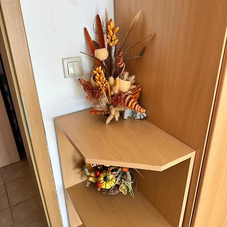 Aspen Golf With Stunning Mountain View Apartament *